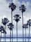 Beach Palms Indigo II Poster Print by Devon Davis # DA116328